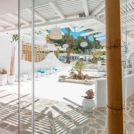 Aloe - Adults Only 팔리라키