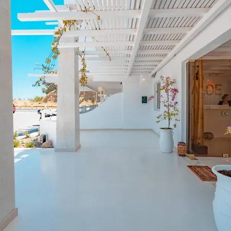 Aloe - Adults Only 팔리라키