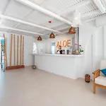 Aloe - Adults Only Hotel Faliraki