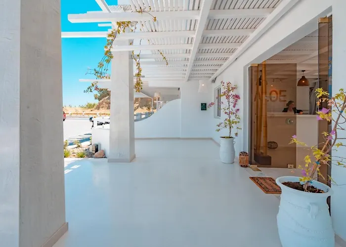 Aloe - Adults Only Faliraki